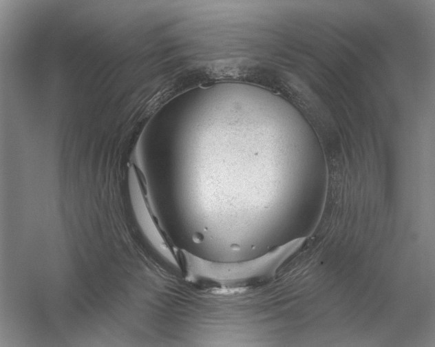 X0000056330125200509232023