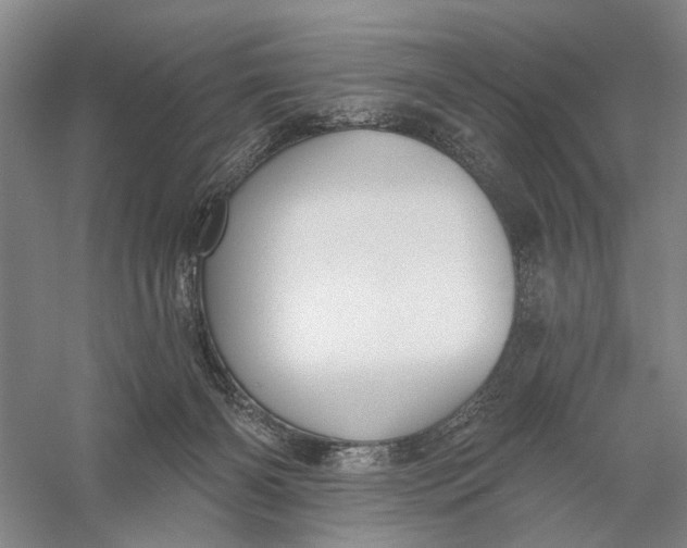 X0000056330126200509232023