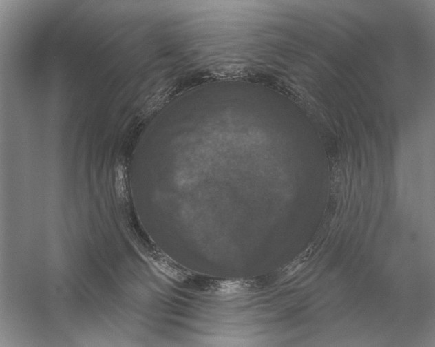 X0000056330130200509232023