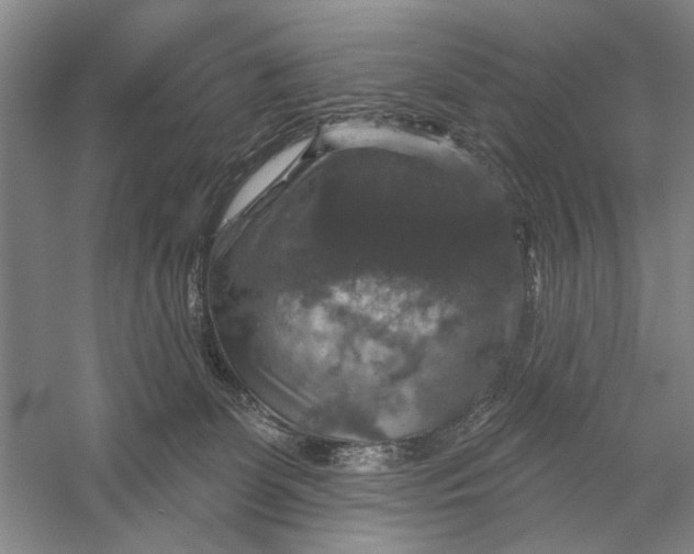 X0000056330131200509232023