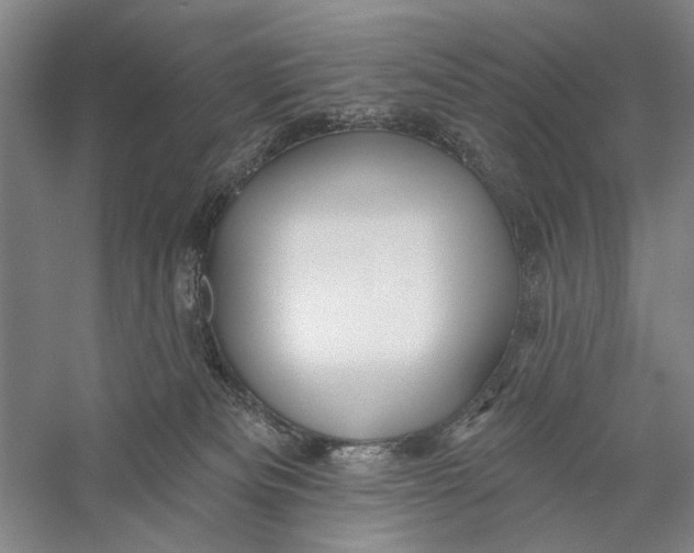 X0000056330133200509232023