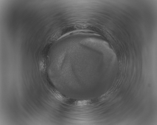 X0000056330134200509232023