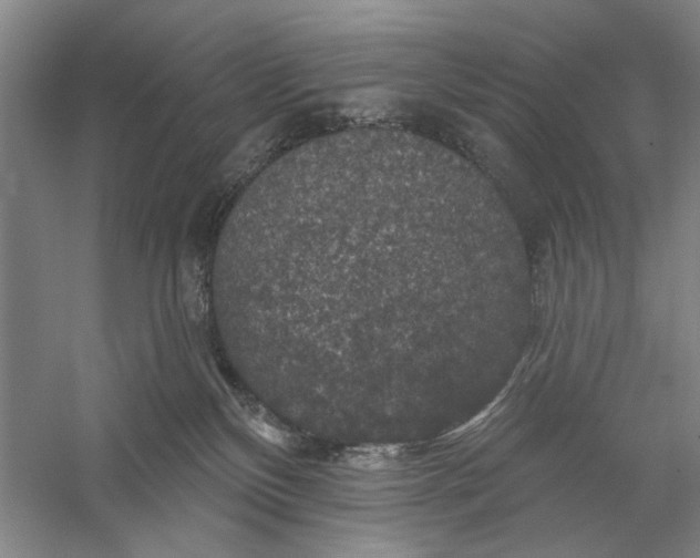 X0000056330136200509232023