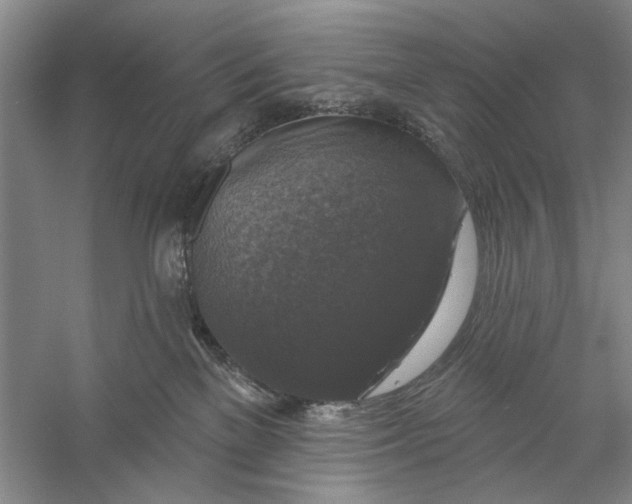 X0000056330137200509232023