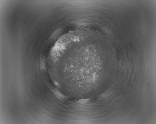 X0000056330138200509232023