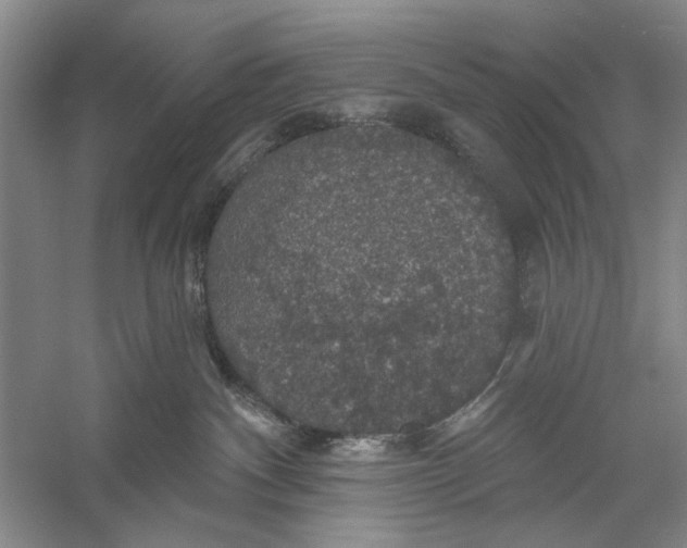 X0000056330140200509232023