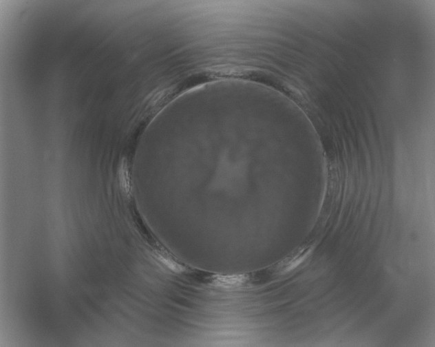 X0000056330143200509232023