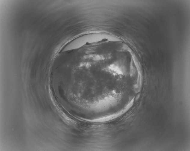 X0000056330145200509232022