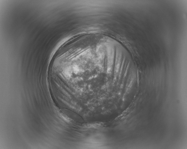 X0000056330147200509232022