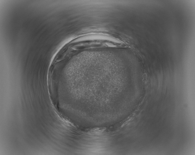 X0000056330148200509232022