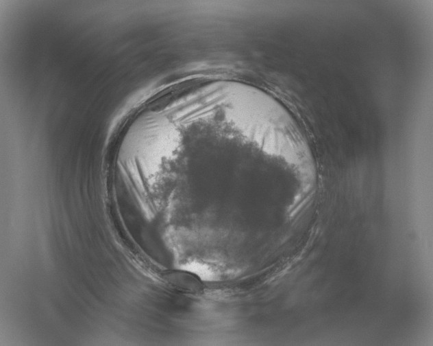 X0000056330149200509232022