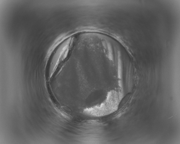 X0000056330151200509232022