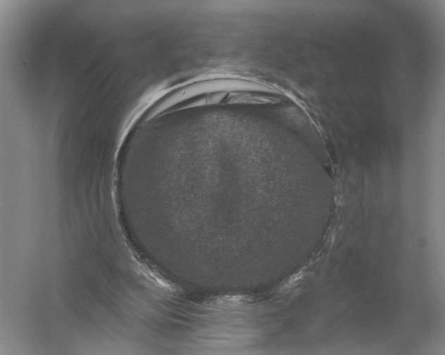 X0000056330152200509232022