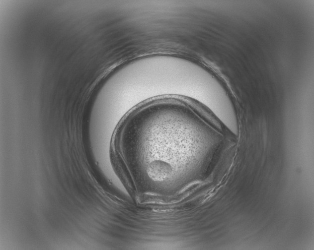 X0000056330154200509232022