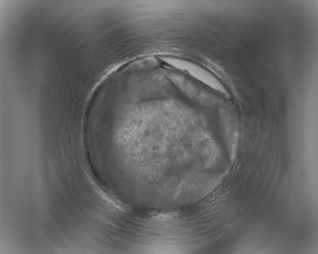 X0000056330155200509232022