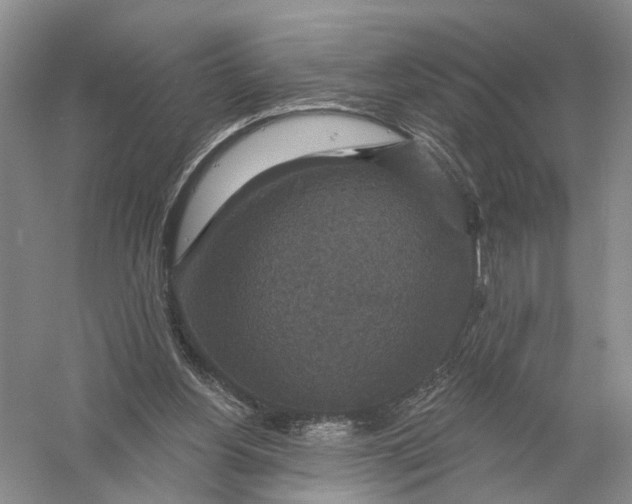 X0000056330156200509232022