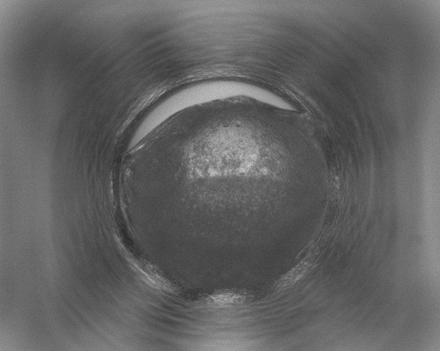 X0000056330158200509232022