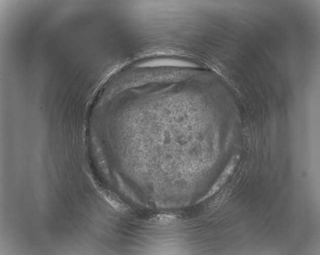 X0000056330159200509232022