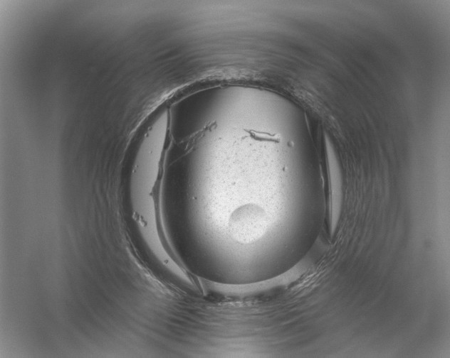 X0000056330160200509232022