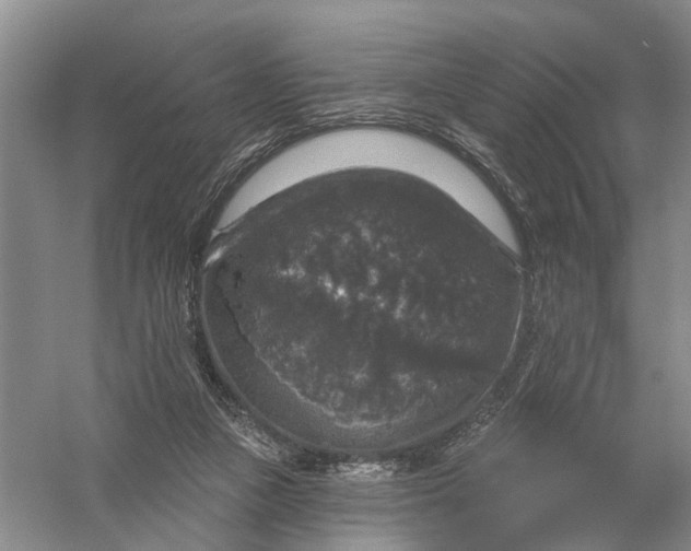 X0000056330161200509232022