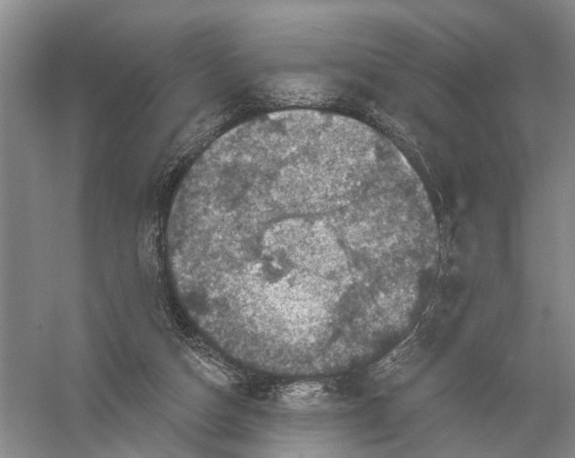 X0000056330162200509232022