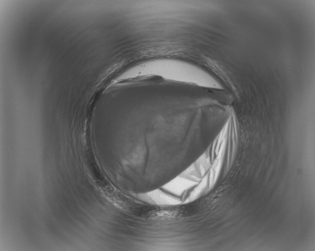 X0000056330163200509232022