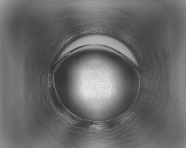 X0000056330164200509232022