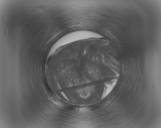 X0000056330165200509232022