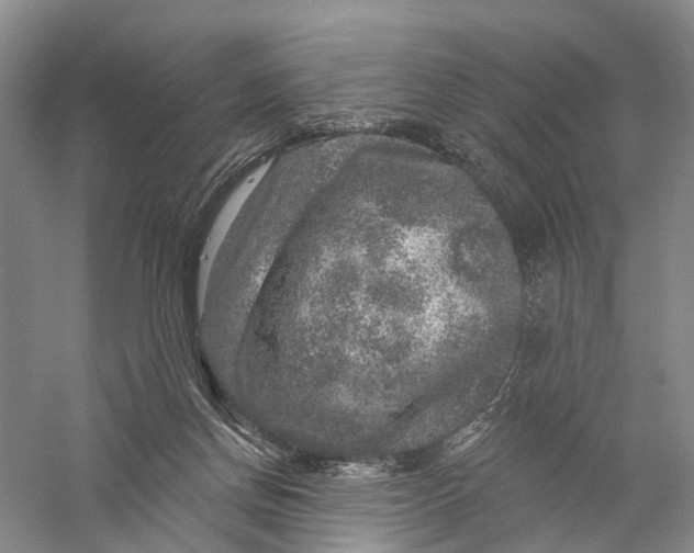 X0000056330166200509232022