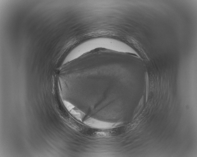 X0000056330167200509232022