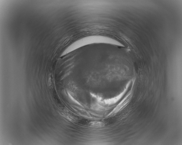 X0000056330169200509232022