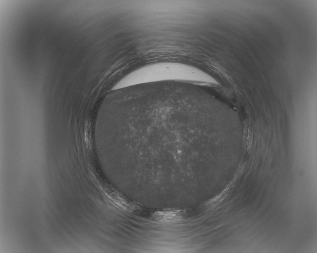 X0000056330170200509232022