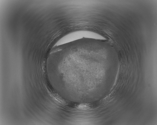 X0000056330171200509232022