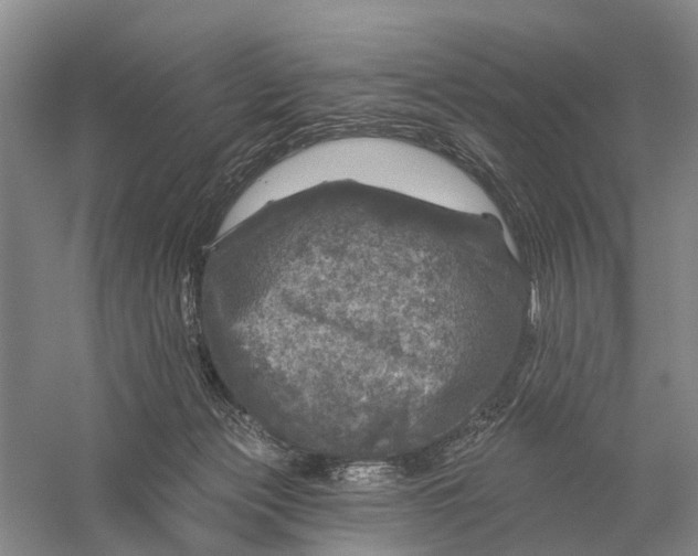 X0000056330173200509232022