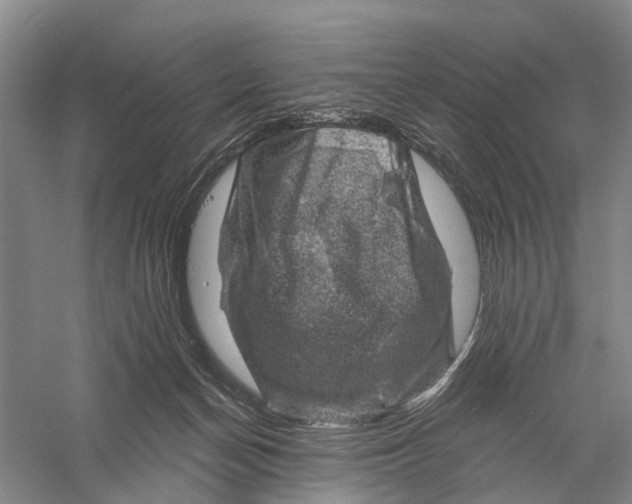 X0000056330174200509232022