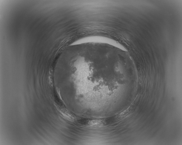 X0000056330175200509232022