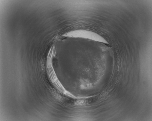 X0000056330177200509232022