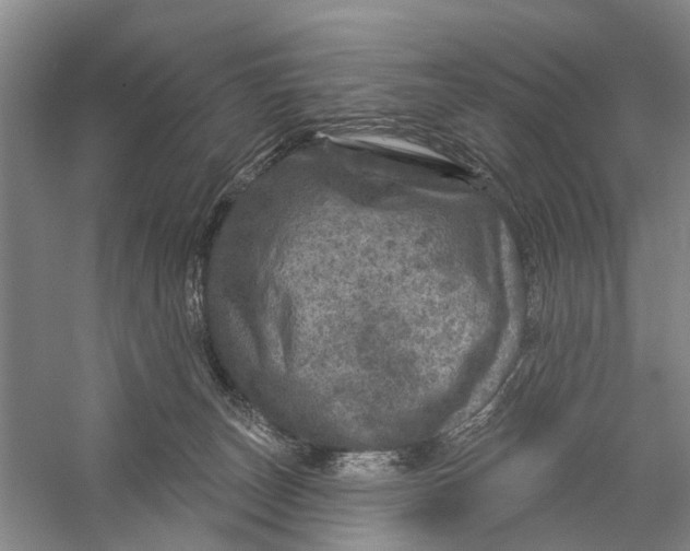 X0000056330179200509232022