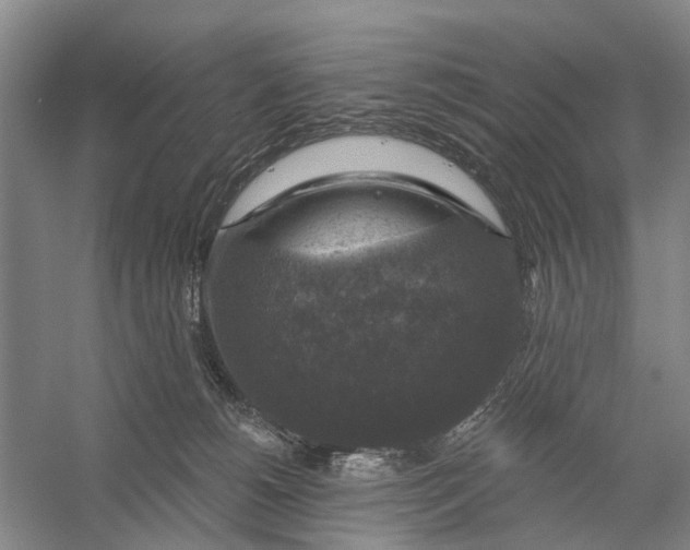 X0000056330180200509232022