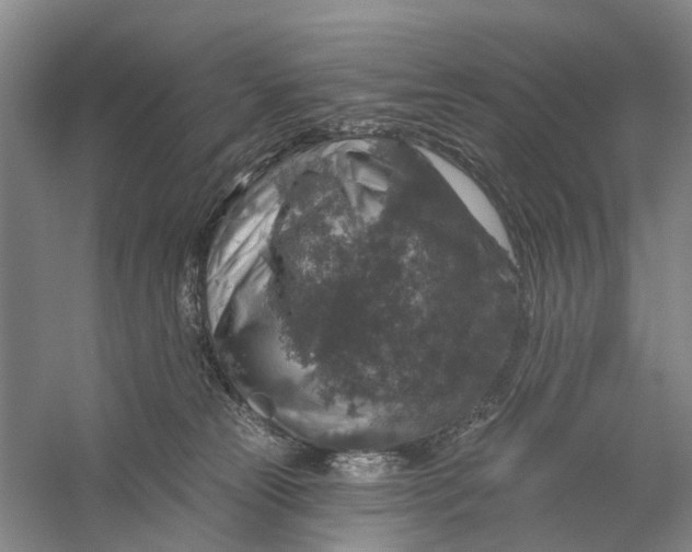 X0000056330181200509232022