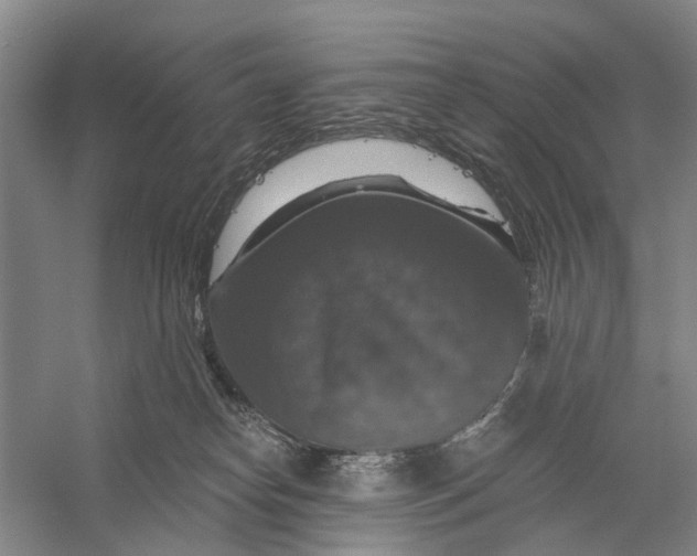 X0000056330182200509232022