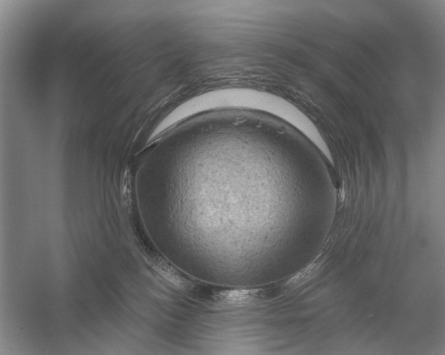 X0000056330184200509232022