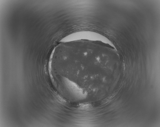 X0000056330185200509232022