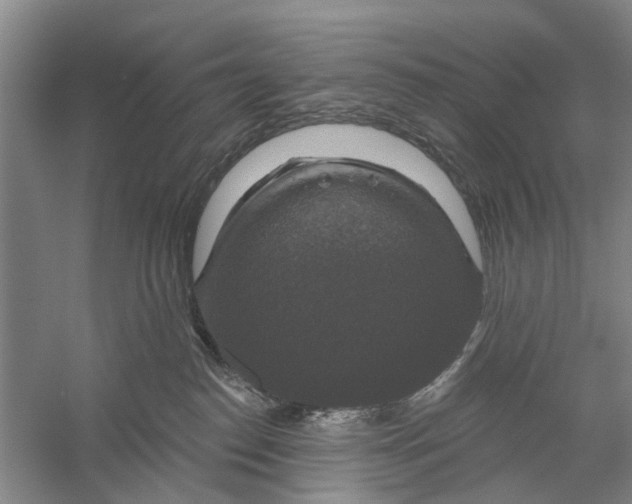 X0000056330186200509232022