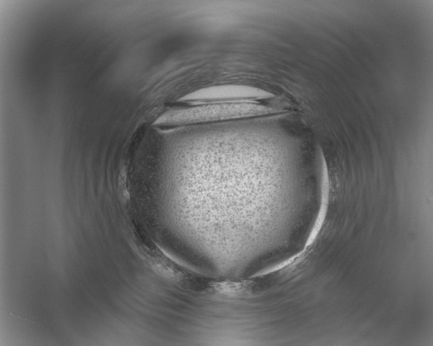 X0000056330187200509232022