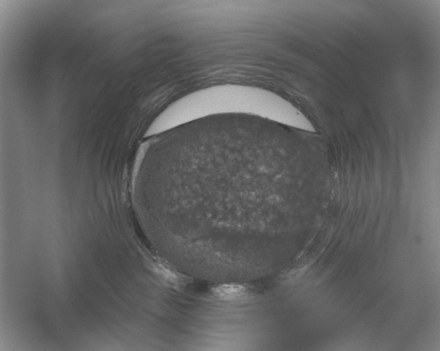 X0000056330189200509232022