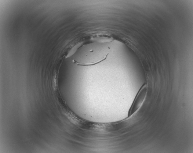 X0000056330190200509232022