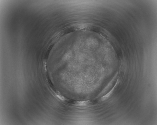 X0000056330191200509232022