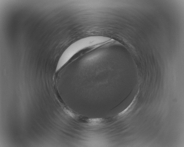 X0000056330192200509232022