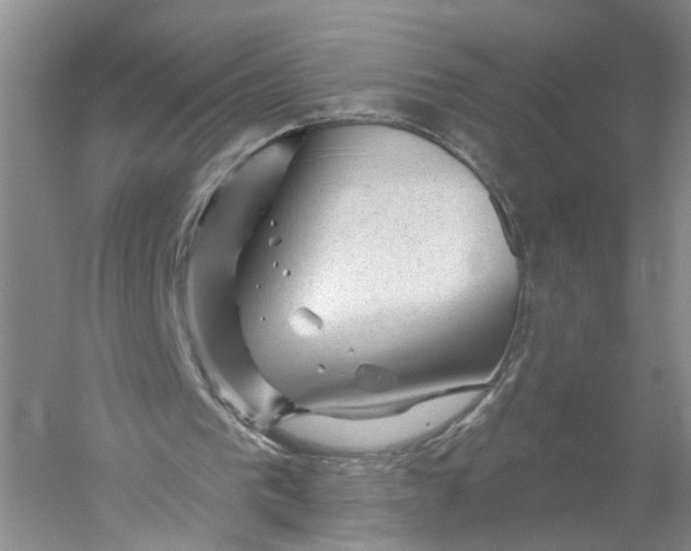 X0000056330193200509232022